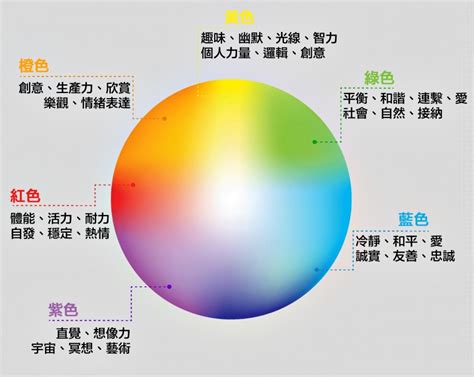 看到人的顏色|彩色視覺